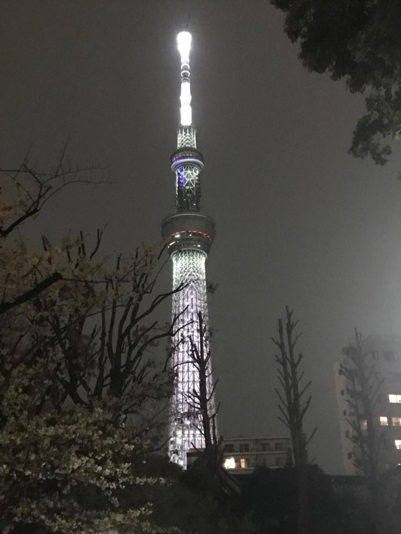 Sky Tree Inn Токио Экстерьер фото