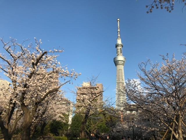 Sky Tree Inn Токио Экстерьер фото