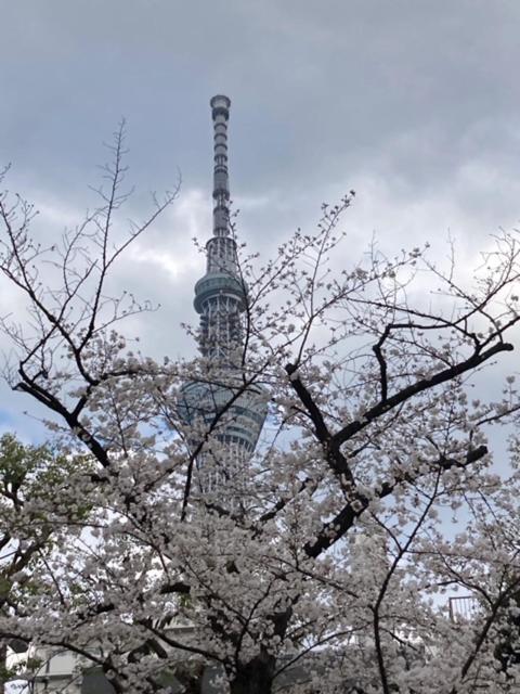 Sky Tree Inn Токио Экстерьер фото