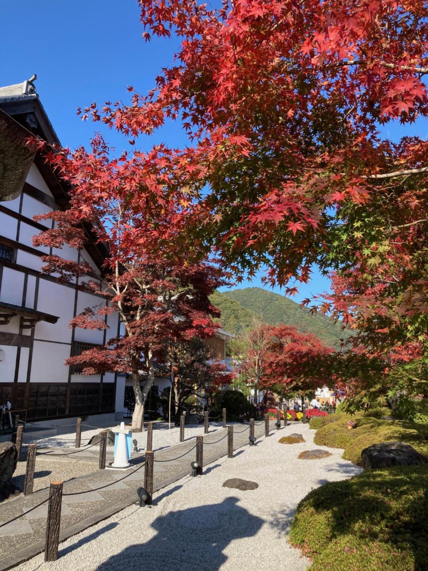 Sky Tree Inn Токио Экстерьер фото